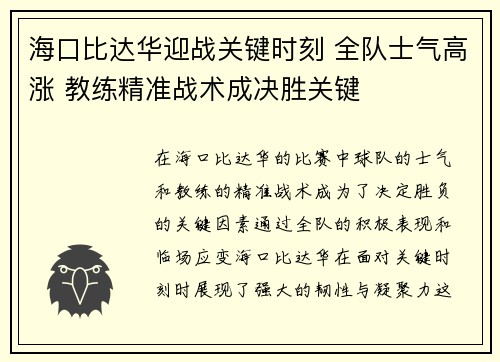 海口比达华迎战关键时刻 全队士气高涨 教练精准战术成决胜关键